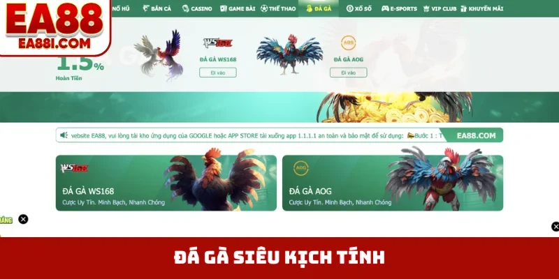 Đá gà siêu kịch tính