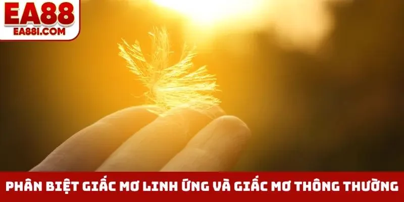 phan biet giac mo linh ung va giac mo thong thuong bia